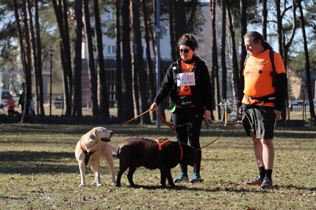 Fotorelacja I: Jurajski Dogtrekking w Myszkowie