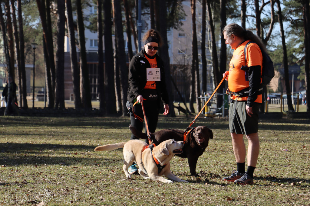 Fotorelacja I: Jurajski Dogtrekking w Myszkowie