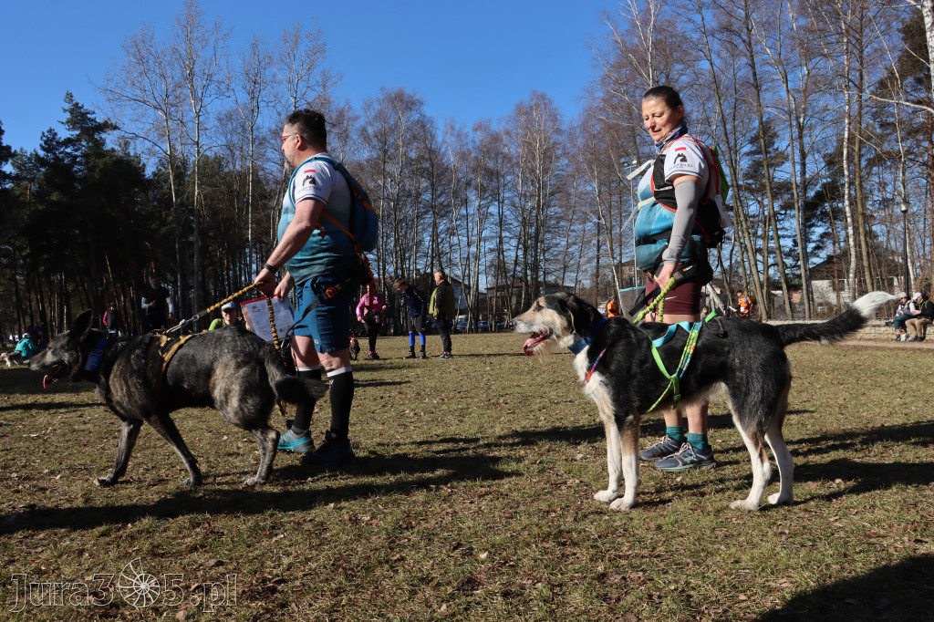 Fotorelacja I: Jurajski Dogtrekking w Myszkowie