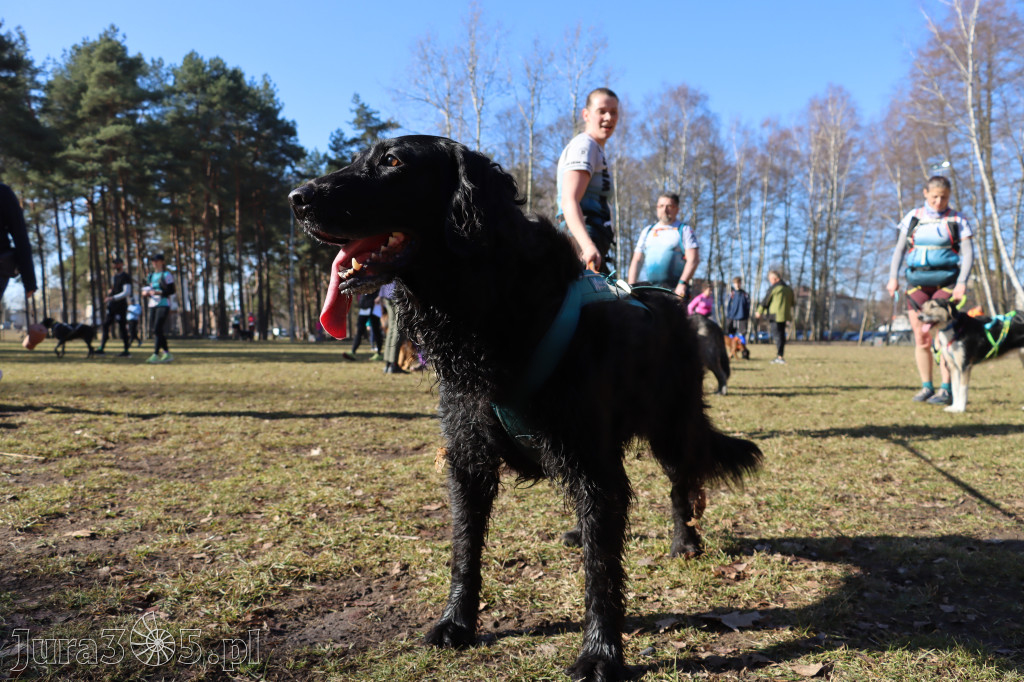 Fotorelacja I: Jurajski Dogtrekking w Myszkowie