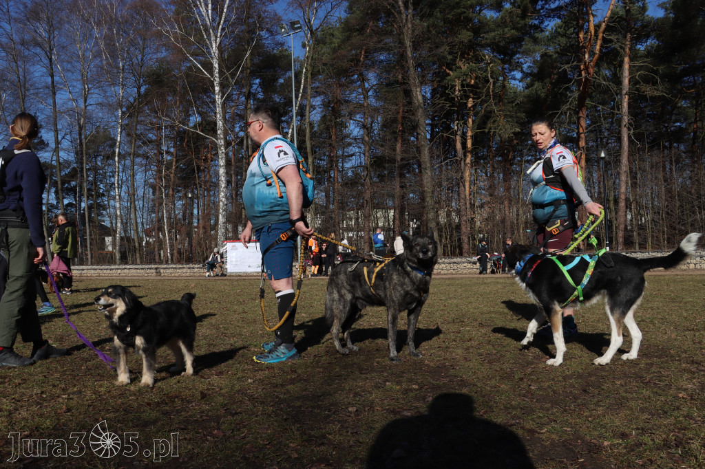 Fotorelacja I: Jurajski Dogtrekking w Myszkowie
