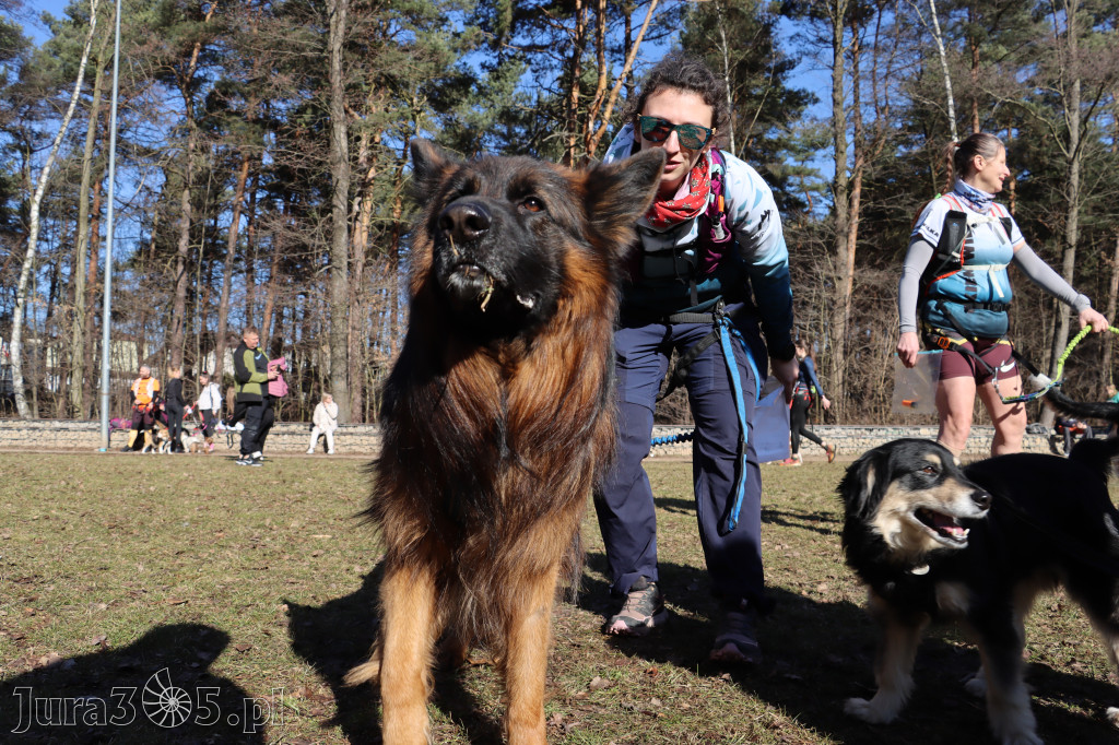 Fotorelacja I: Jurajski Dogtrekking w Myszkowie