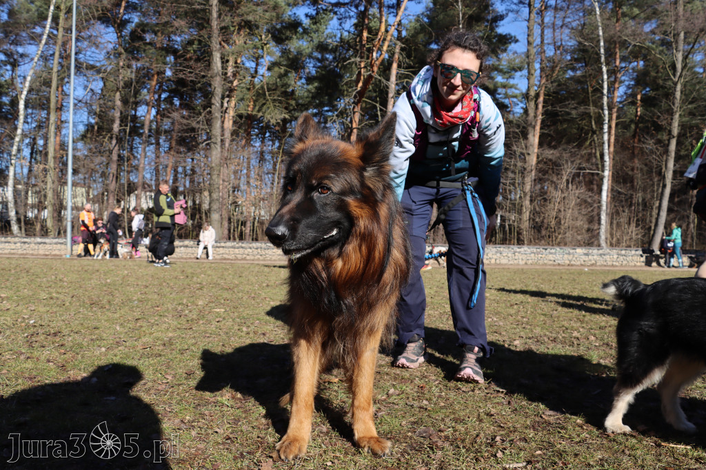 Fotorelacja I: Jurajski Dogtrekking w Myszkowie