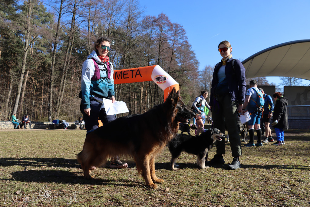 Fotorelacja I: Jurajski Dogtrekking w Myszkowie