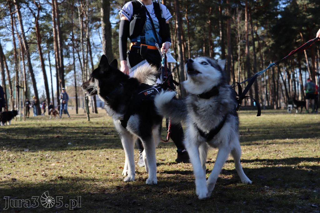 Fotorelacja I: Jurajski Dogtrekking w Myszkowie