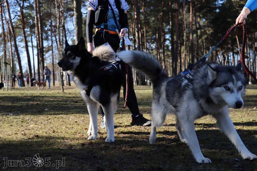 Fotorelacja I: Jurajski Dogtrekking w Myszkowie