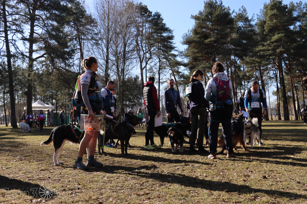 Fotorelacja I: Jurajski Dogtrekking w Myszkowie