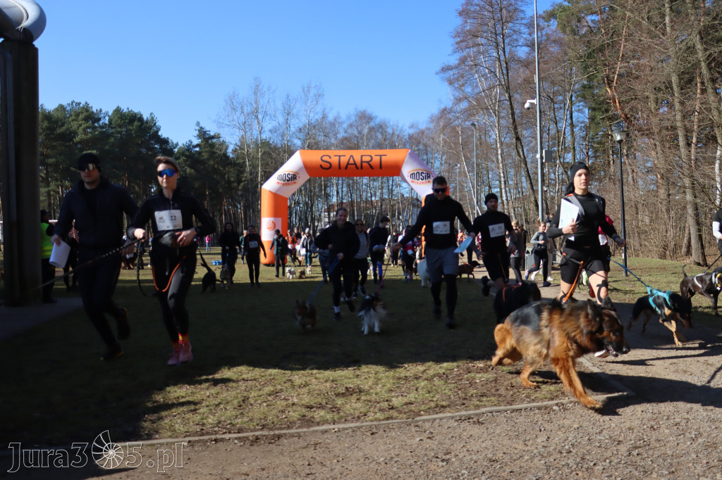 Fotorelacja I: Jurajski Dogtrekking w Myszkowie