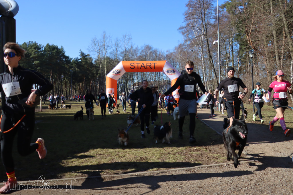 Fotorelacja I: Jurajski Dogtrekking w Myszkowie