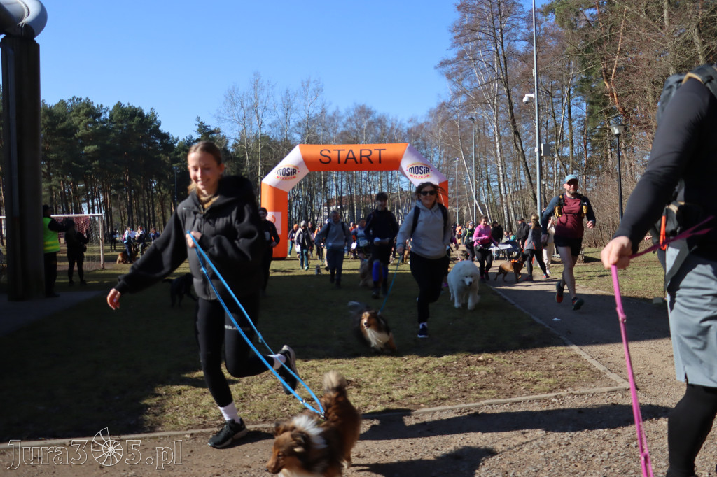 Fotorelacja I: Jurajski Dogtrekking w Myszkowie