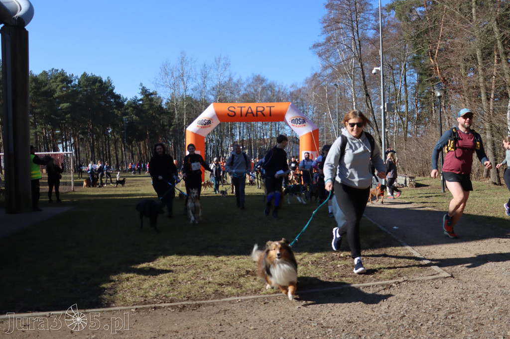 Fotorelacja I: Jurajski Dogtrekking w Myszkowie