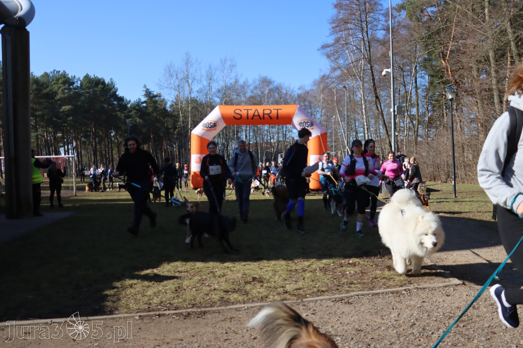 Fotorelacja I: Jurajski Dogtrekking w Myszkowie
