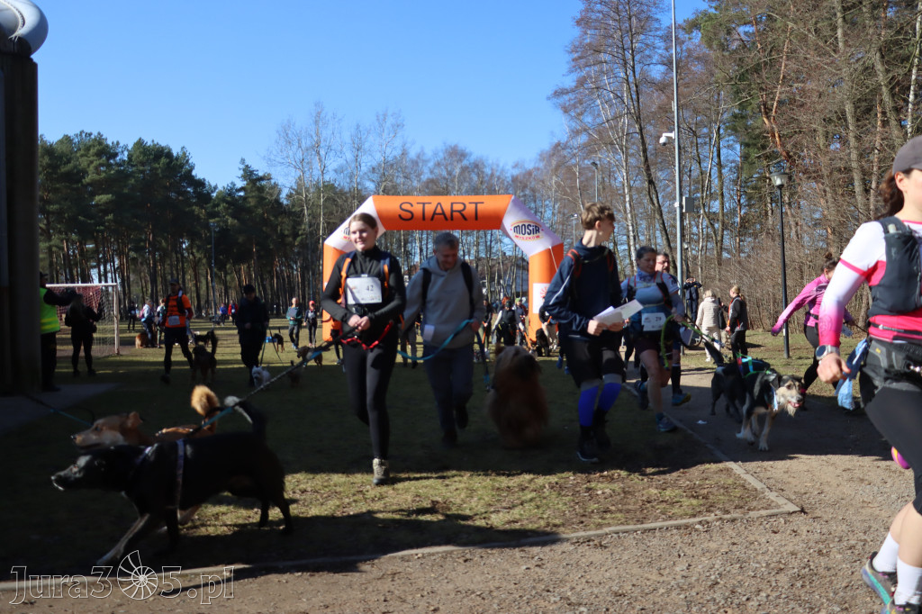 Fotorelacja I: Jurajski Dogtrekking w Myszkowie
