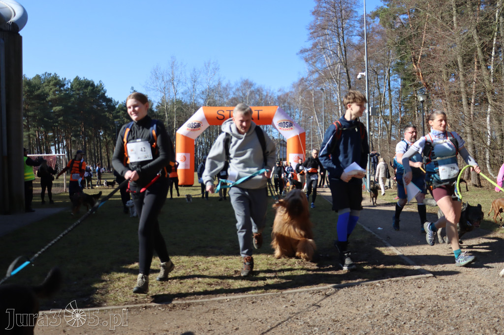 Fotorelacja I: Jurajski Dogtrekking w Myszkowie