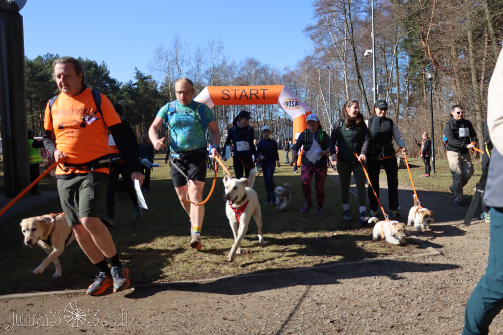 Fotorelacja I: Jurajski Dogtrekking w Myszkowie