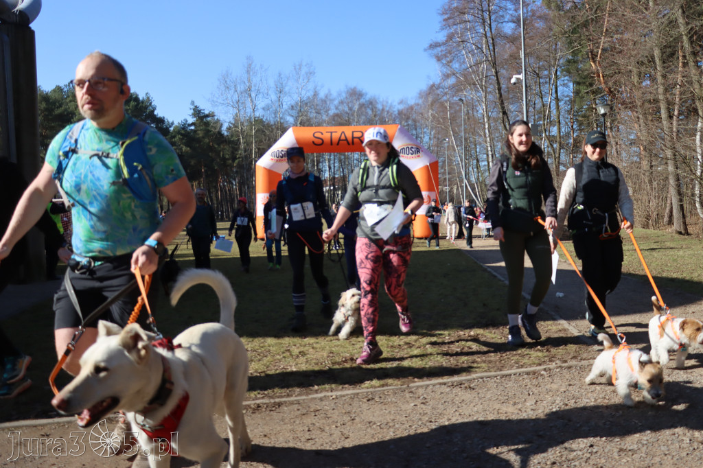 Fotorelacja I: Jurajski Dogtrekking w Myszkowie