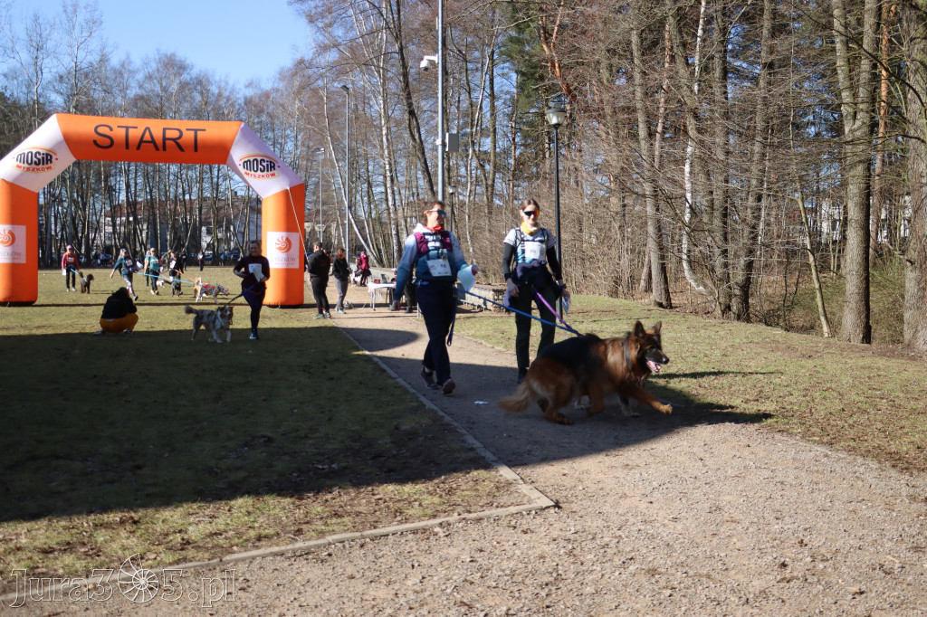 Fotorelacja I: Jurajski Dogtrekking w Myszkowie