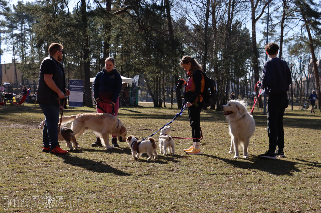Fotorelacja I: Jurajski Dogtrekking w Myszkowie