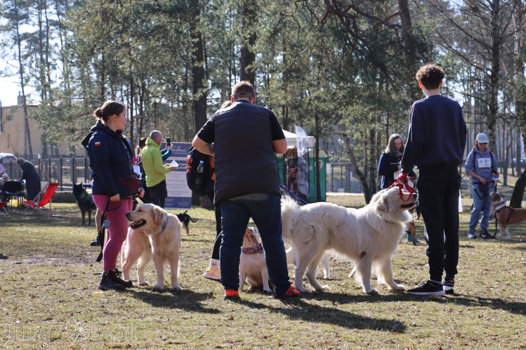 Fotorelacja I: Jurajski Dogtrekking w Myszkowie