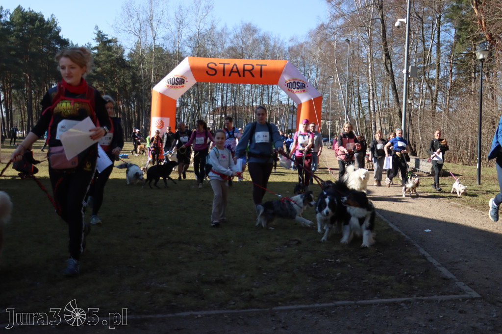 Fotorelacja I: Jurajski Dogtrekking w Myszkowie