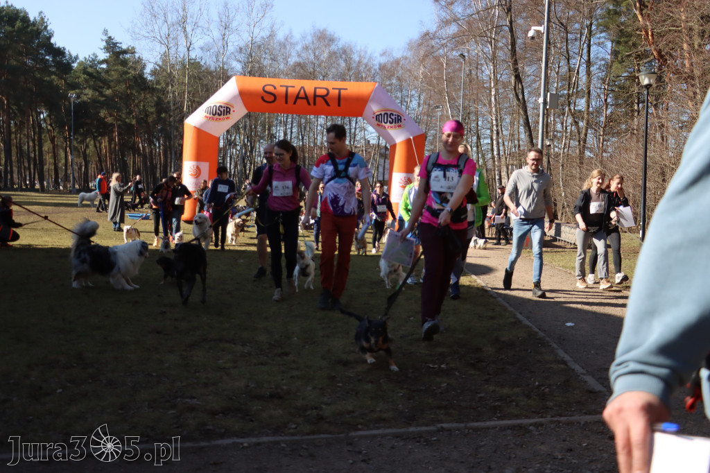 Fotorelacja I: Jurajski Dogtrekking w Myszkowie