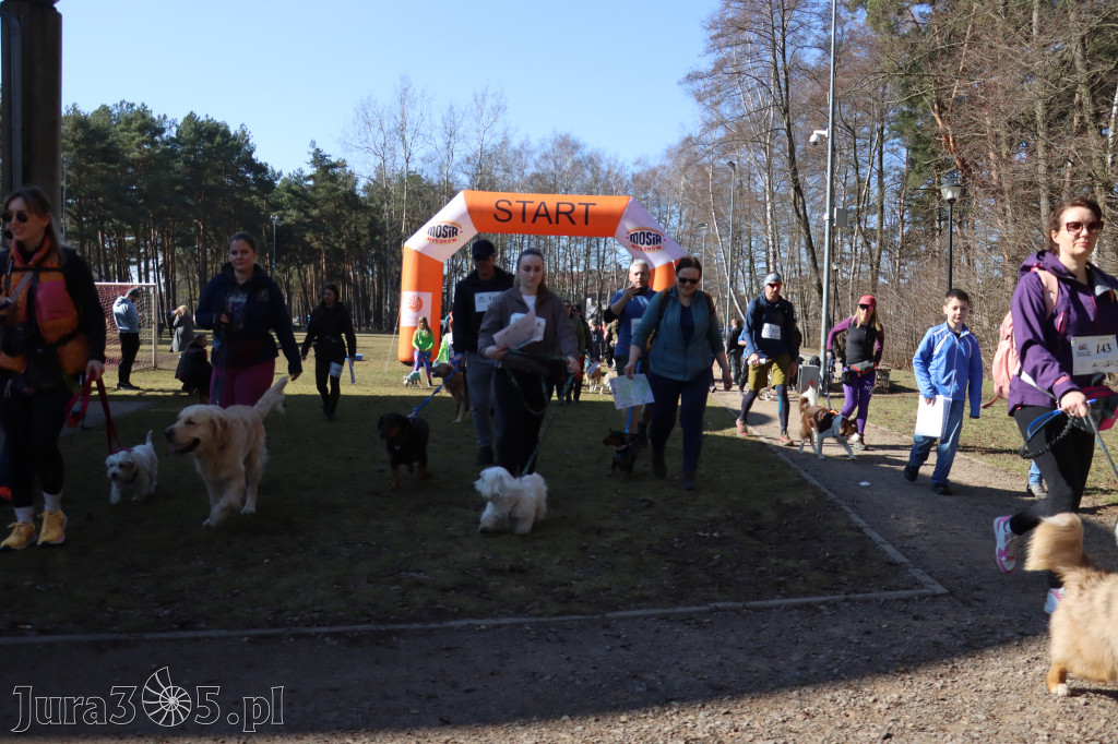 Fotorelacja I: Jurajski Dogtrekking w Myszkowie