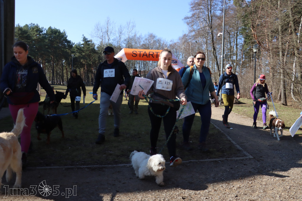 Fotorelacja I: Jurajski Dogtrekking w Myszkowie