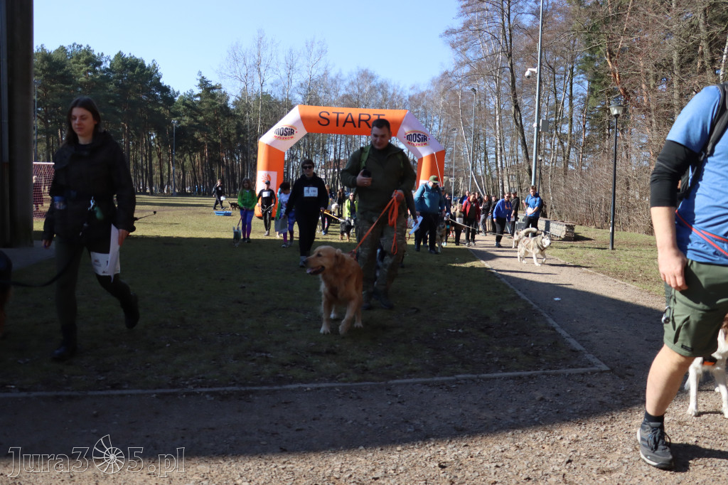 Fotorelacja I: Jurajski Dogtrekking w Myszkowie