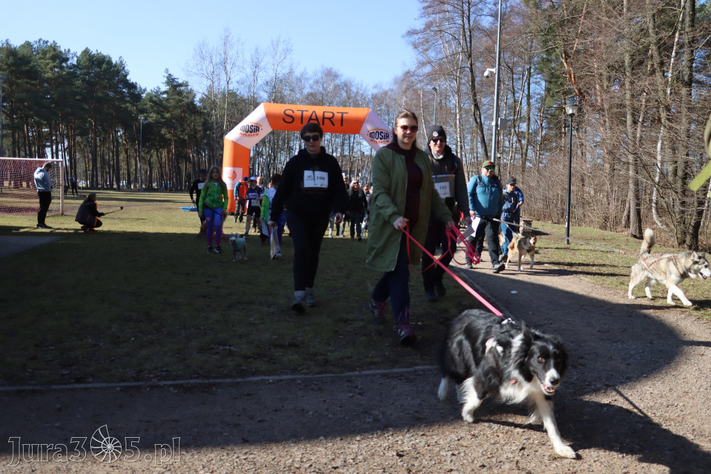 Fotorelacja I: Jurajski Dogtrekking w Myszkowie