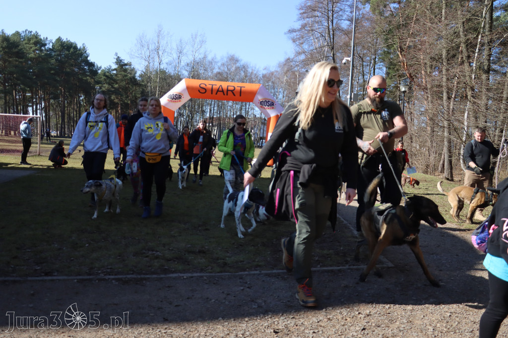 Fotorelacja I: Jurajski Dogtrekking w Myszkowie