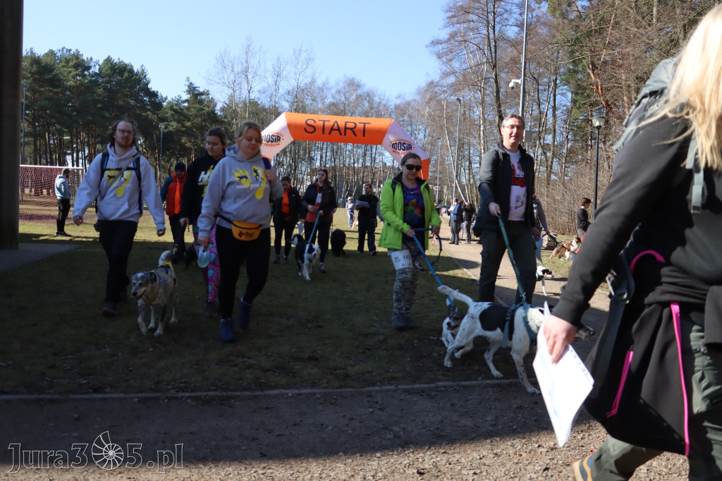 Fotorelacja I: Jurajski Dogtrekking w Myszkowie
