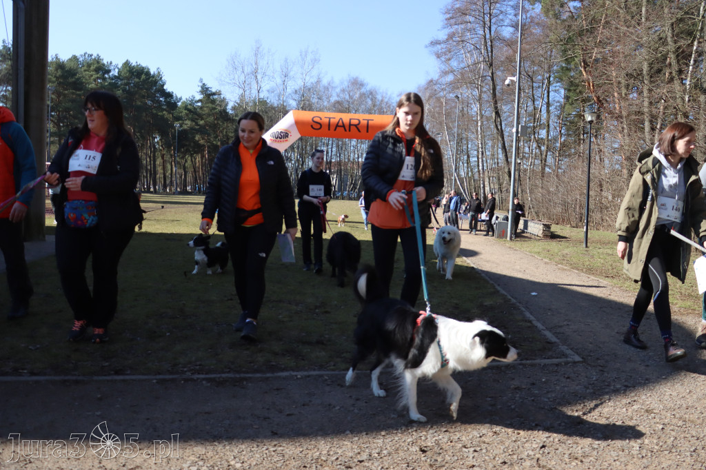 Fotorelacja I: Jurajski Dogtrekking w Myszkowie
