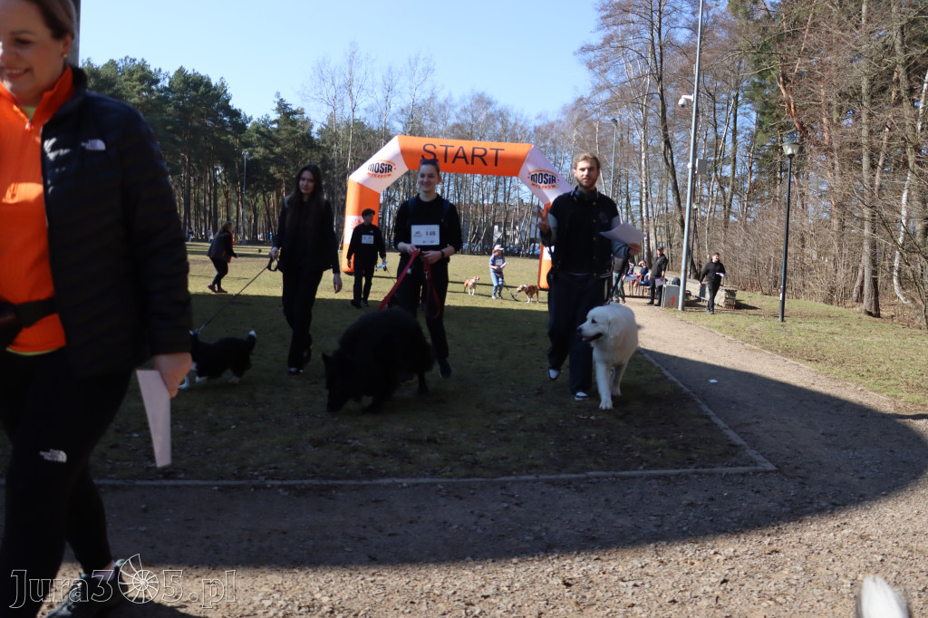 Fotorelacja I: Jurajski Dogtrekking w Myszkowie