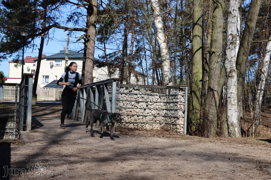 Fotorelacja I: Jurajski Dogtrekking w Myszkowie
