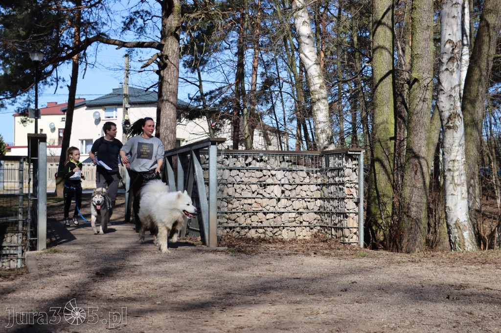 Fotorelacja I: Jurajski Dogtrekking w Myszkowie