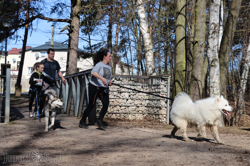Fotorelacja I: Jurajski Dogtrekking w Myszkowie