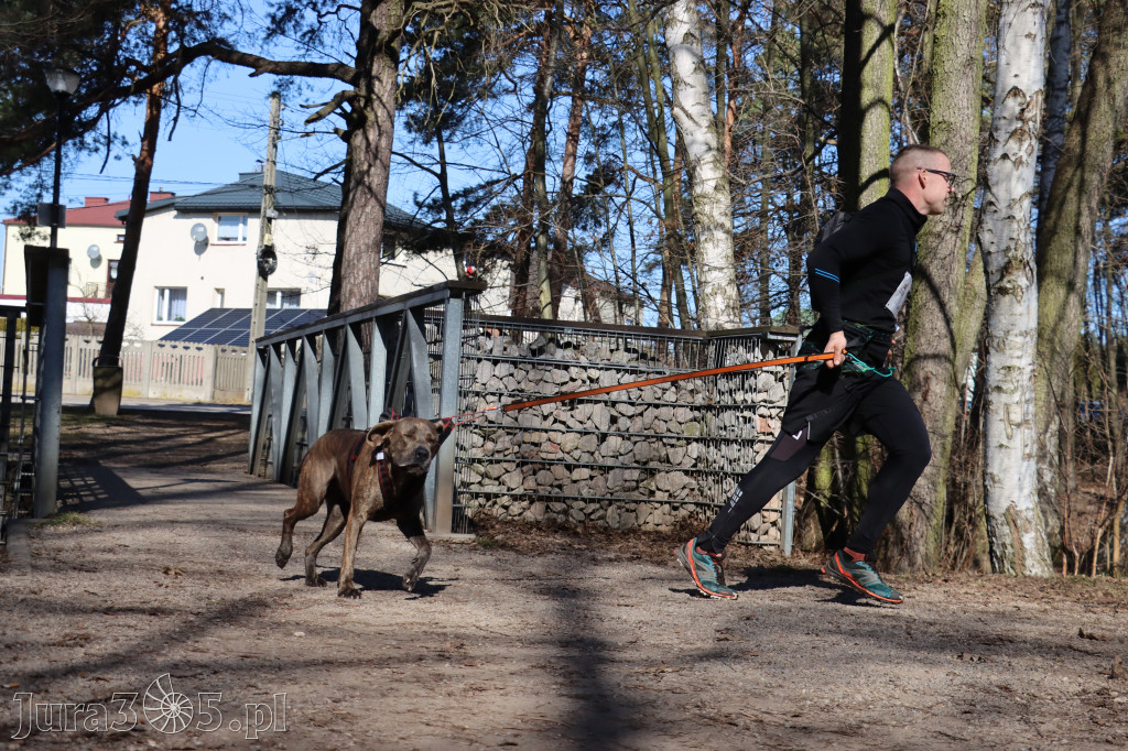 Fotorelacja I: Jurajski Dogtrekking w Myszkowie