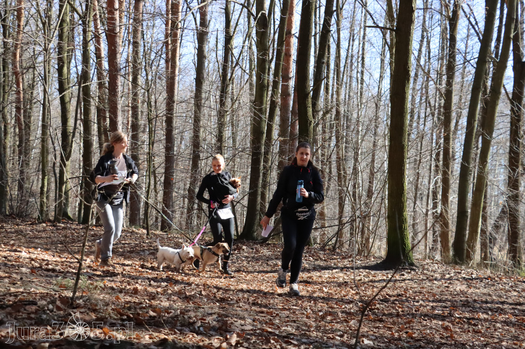 Fotorelacja I: Jurajski Dogtrekking w Myszkowie