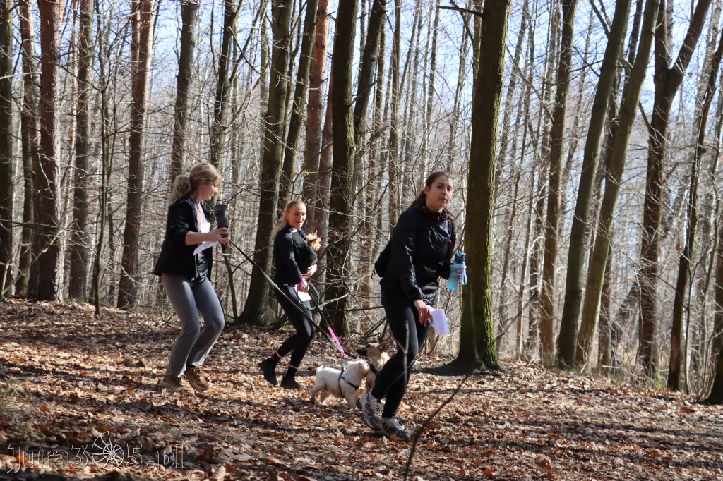 Fotorelacja I: Jurajski Dogtrekking w Myszkowie