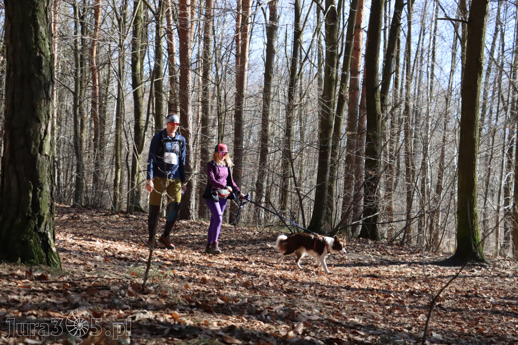 Fotorelacja I: Jurajski Dogtrekking w Myszkowie
