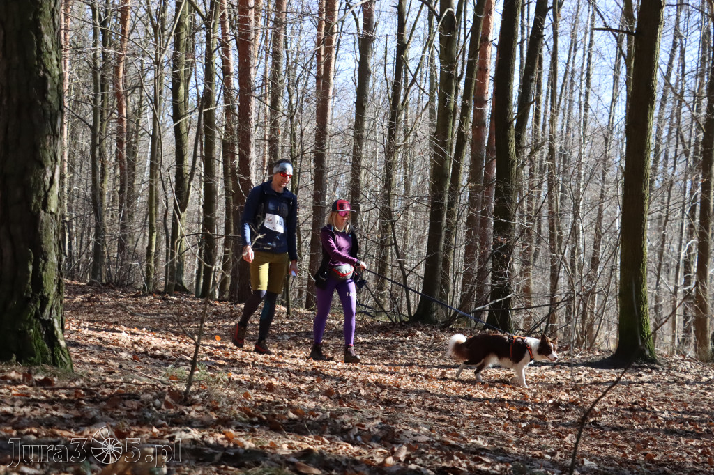 Fotorelacja I: Jurajski Dogtrekking w Myszkowie