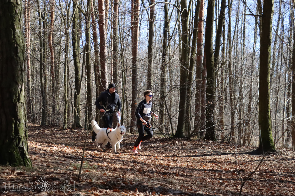 Fotorelacja I: Jurajski Dogtrekking w Myszkowie