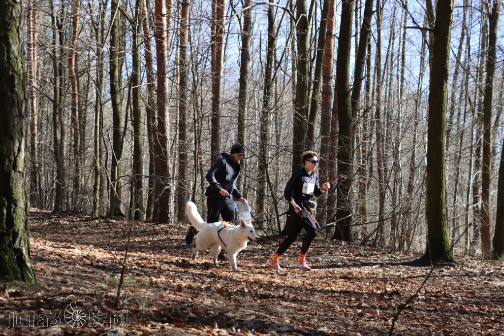 Fotorelacja I: Jurajski Dogtrekking w Myszkowie