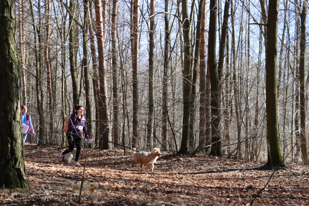 Fotorelacja I: Jurajski Dogtrekking w Myszkowie