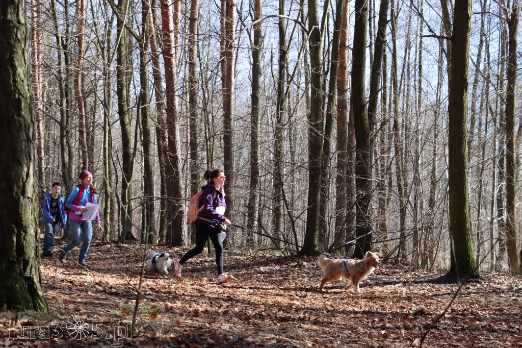 Fotorelacja I: Jurajski Dogtrekking w Myszkowie