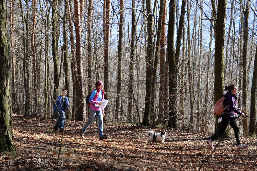 Fotorelacja I: Jurajski Dogtrekking w Myszkowie