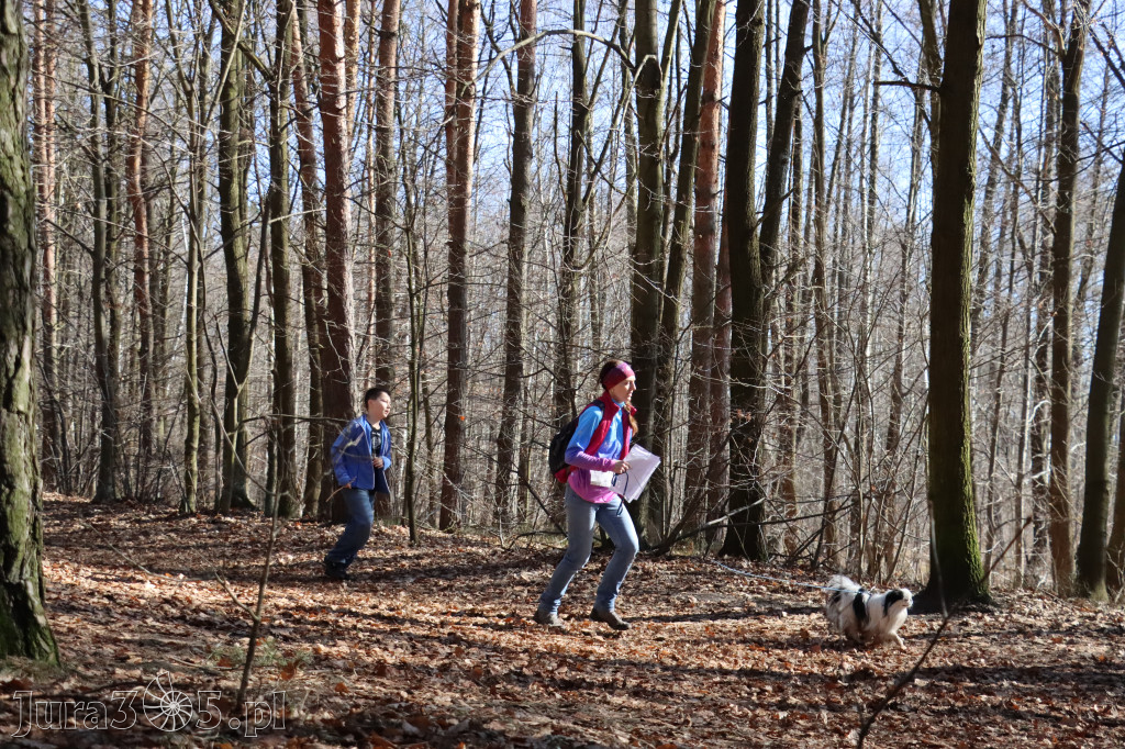 Fotorelacja I: Jurajski Dogtrekking w Myszkowie