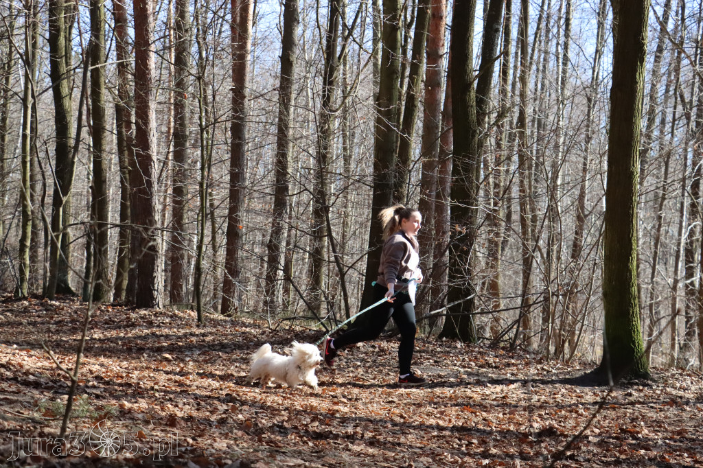 Fotorelacja I: Jurajski Dogtrekking w Myszkowie