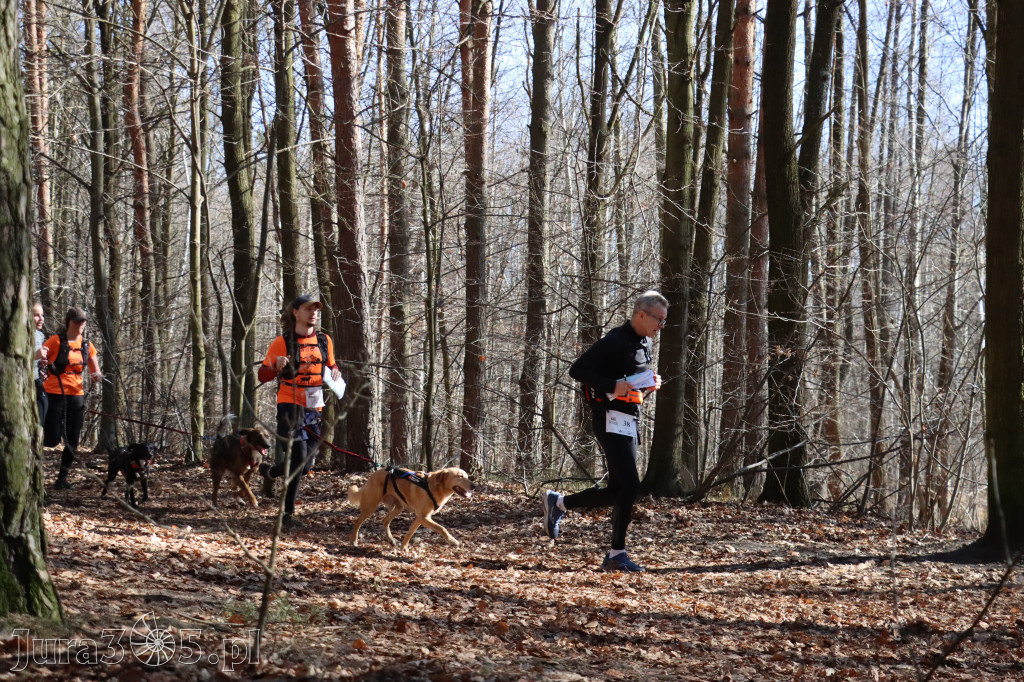 Fotorelacja I: Jurajski Dogtrekking w Myszkowie