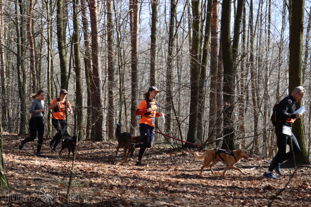 Fotorelacja I: Jurajski Dogtrekking w Myszkowie